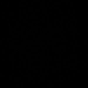 Meet your Posher, Baylee